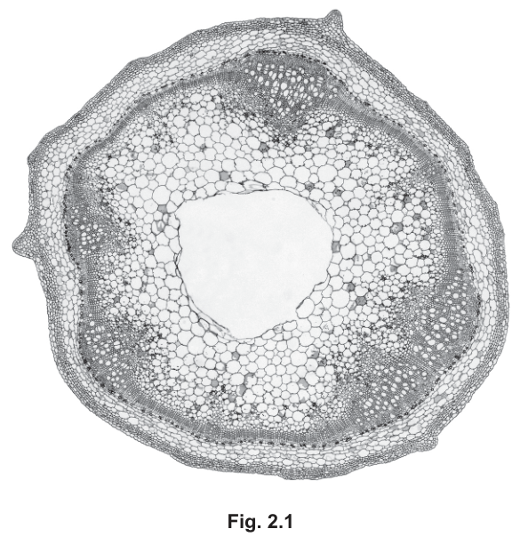 Fig. 2.1