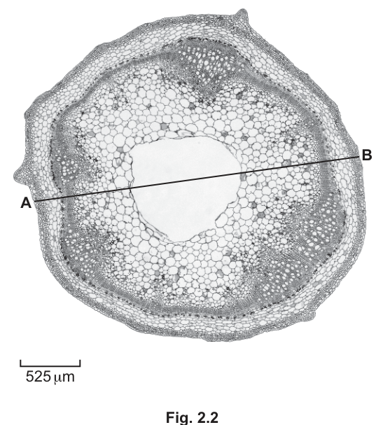 Fig. 2.2