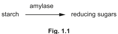 Fig. 1.1