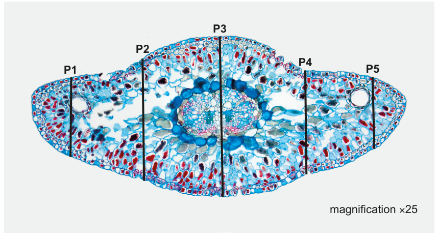 Fig. 2.2