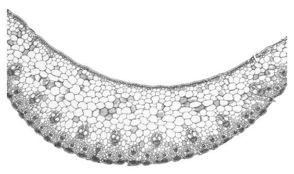 Fig. 2.2
