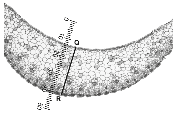 Fig. 2.3