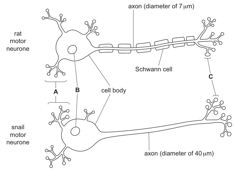 Fig. 1.1
