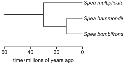 Fig. 7.3