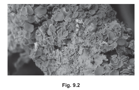 Fig. 9.2
