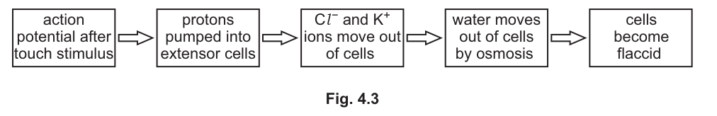 Fig. 4.3