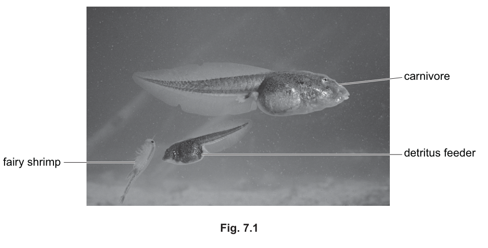 Fig. 7.1
