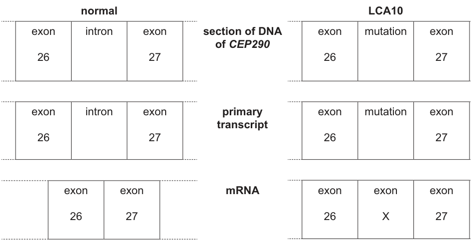 Fig. 3.1