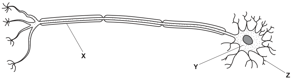 Fig. 8.1