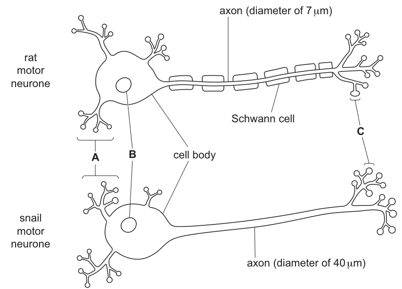 Fig. 1.1