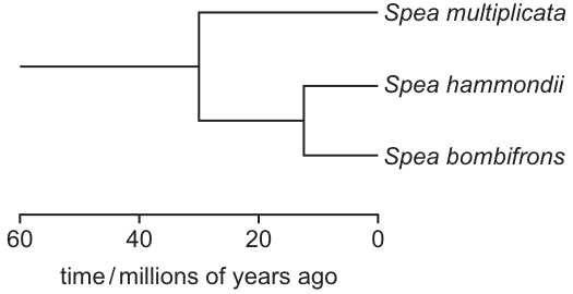 Fig. 7.3