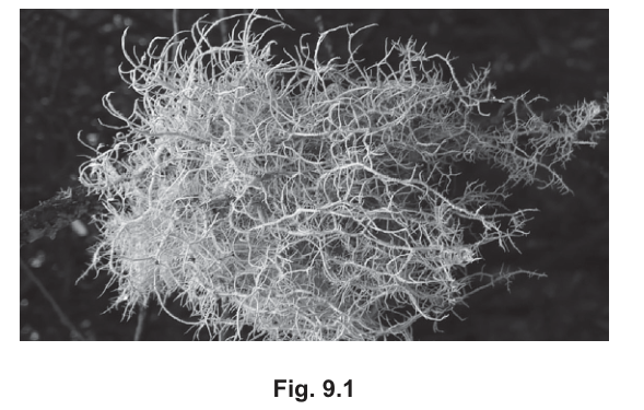 Fig. 9.1