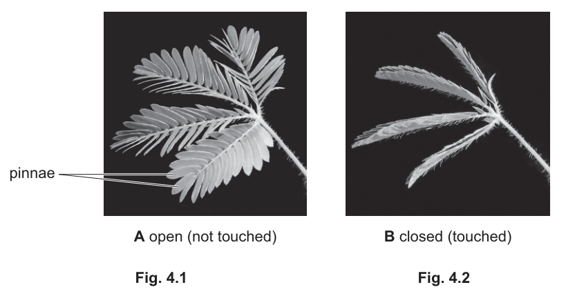 Fig. 4.1 and 4.2