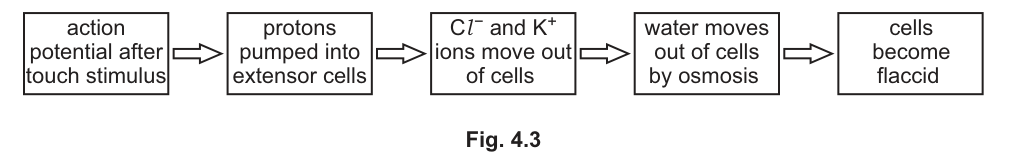 Fig. 4.3