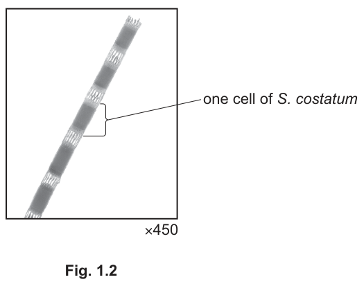 Fig. 1.2