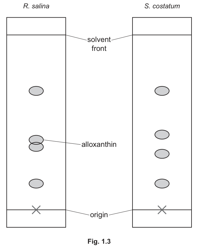 Fig. 1.3