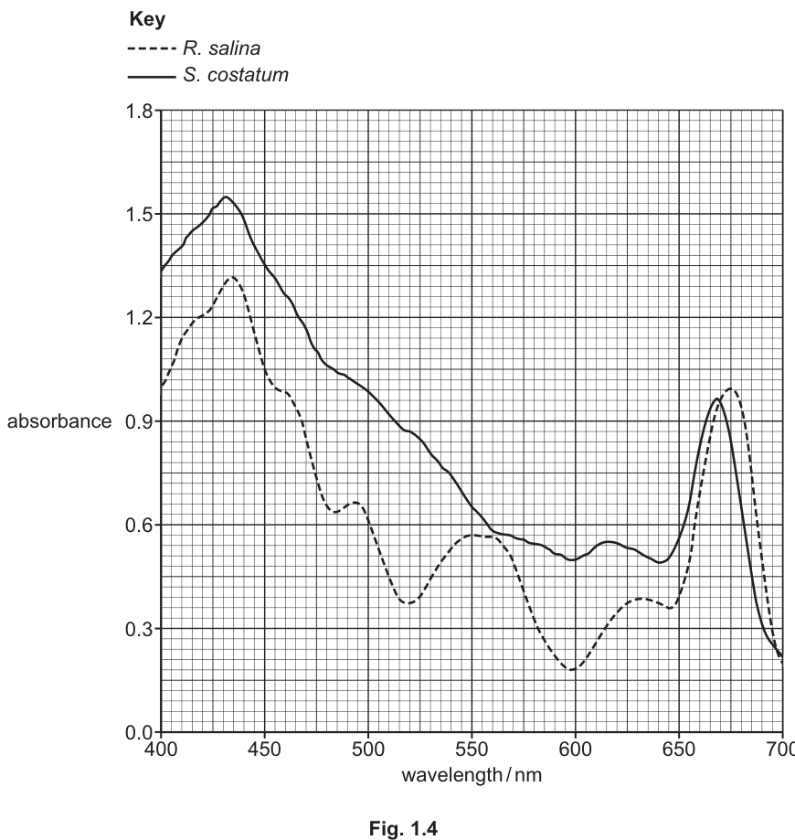 Fig. 1.4