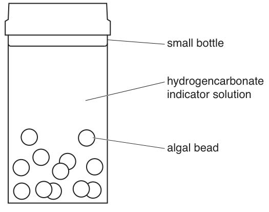 Fig. 1.5