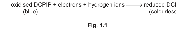 Fig. 1.1