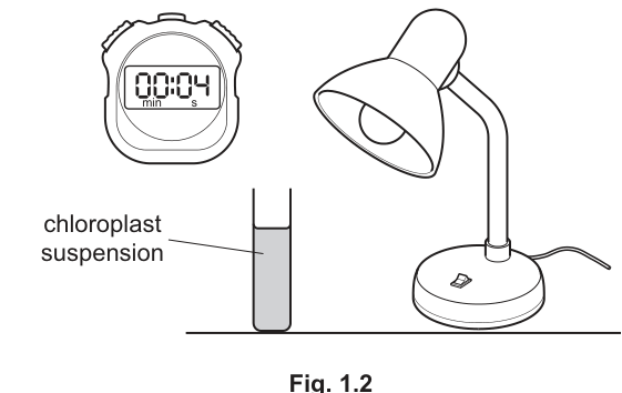 Fig. 1.2