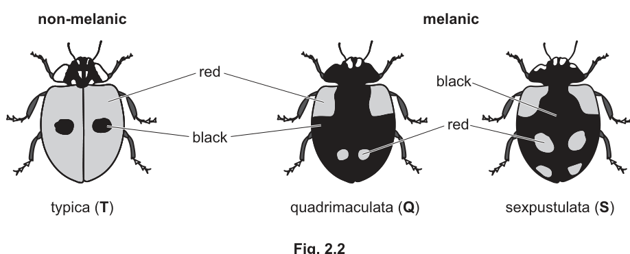 Fig. 2.2