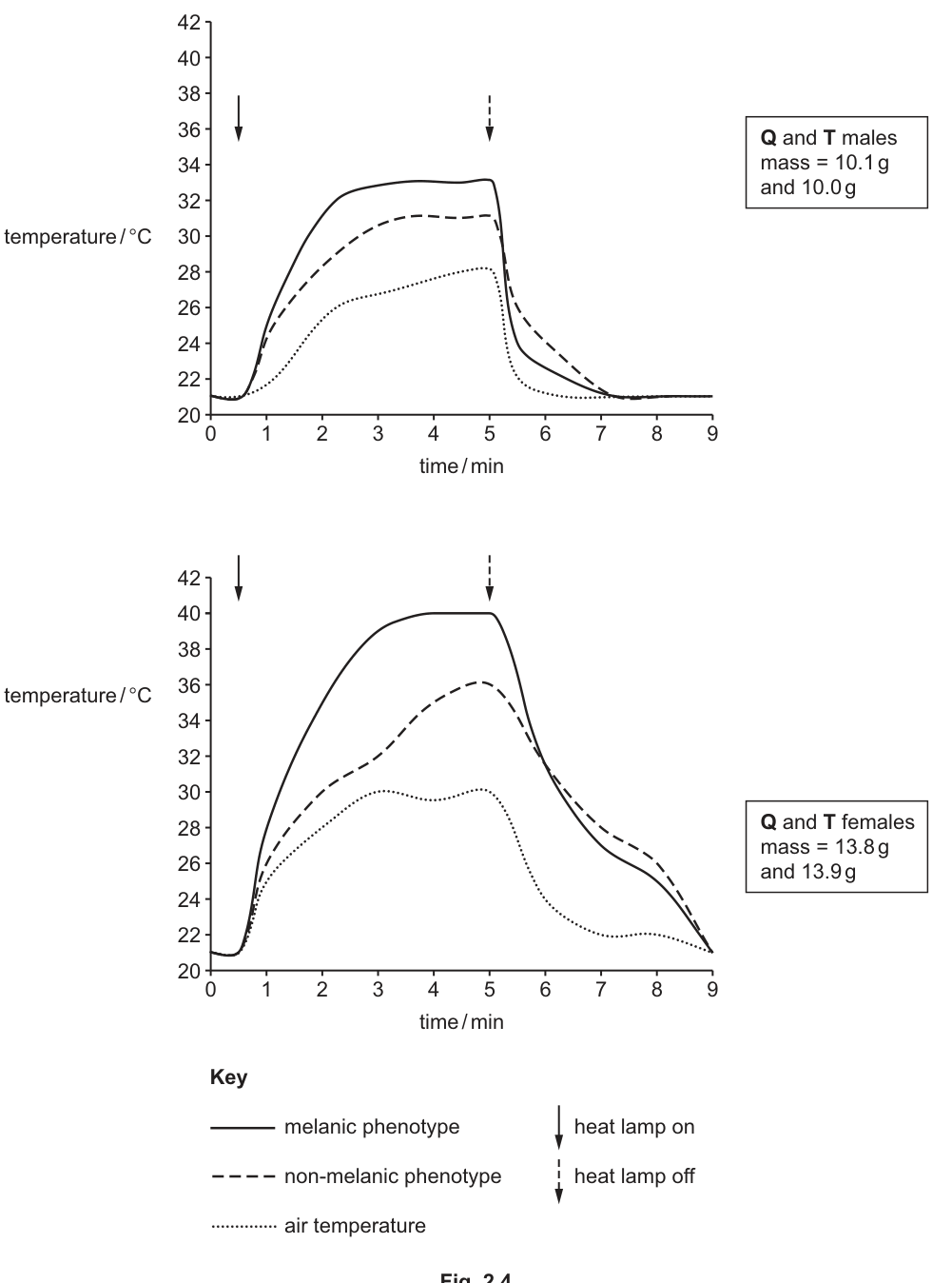Fig. 2.4