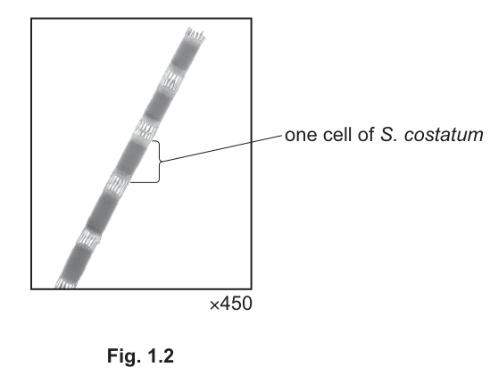 Fig. 1.2
