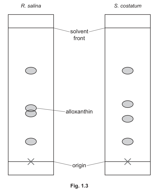 Fig. 1.3