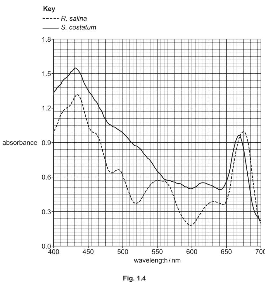 Fig. 1.4