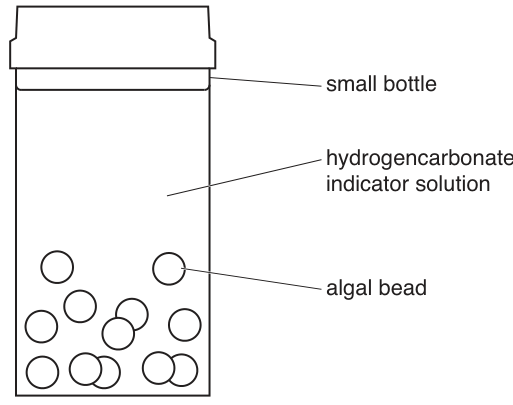 Fig. 1.5