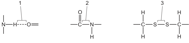 Fig. 38.1