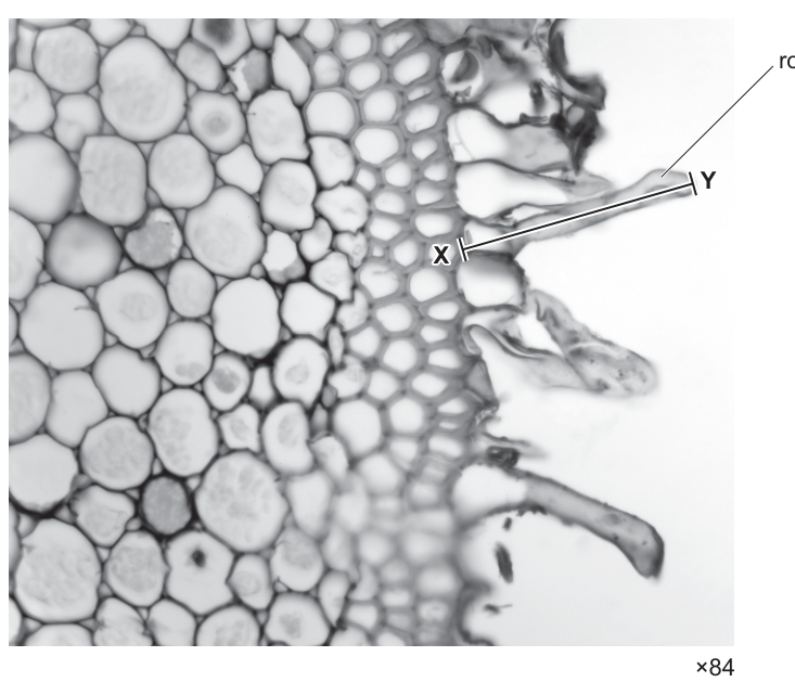 Fig. 1.1