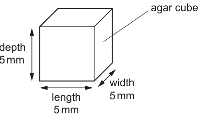 Fig. 1.1