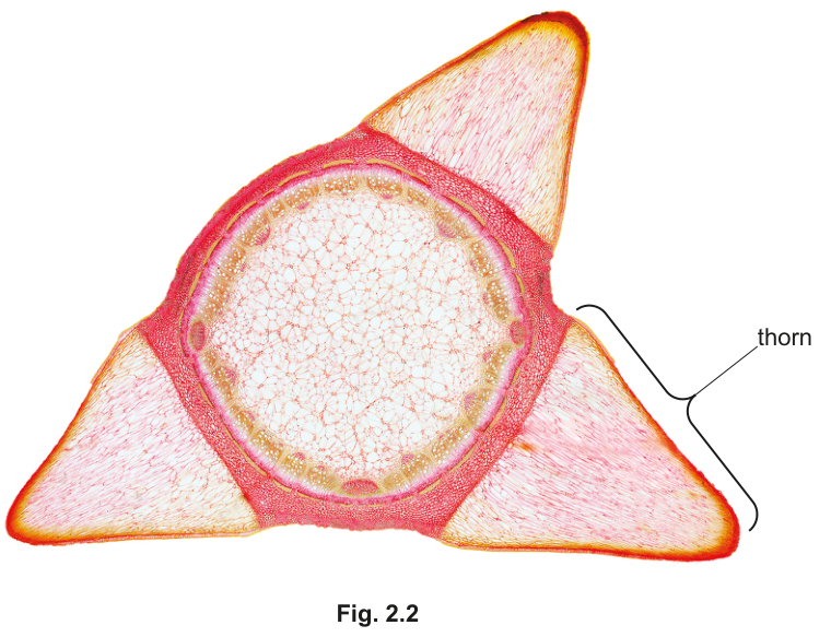 Fig. 2.2