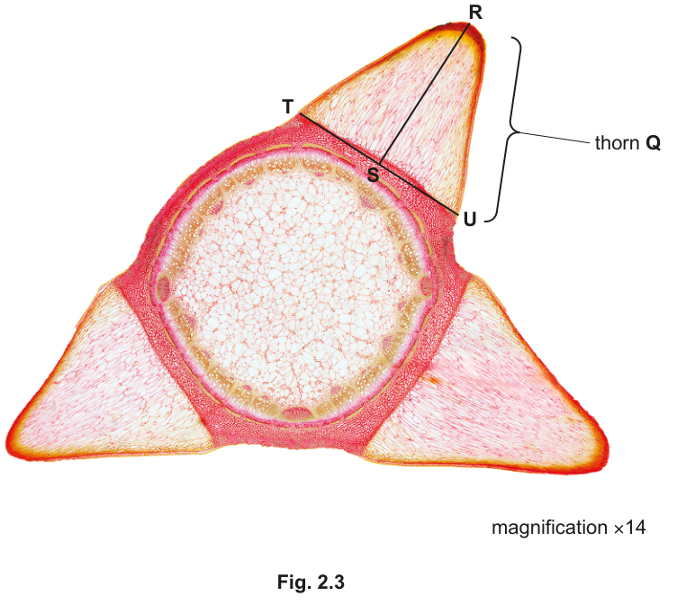 Fig. 2.3