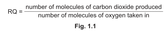 Fig. 1.1