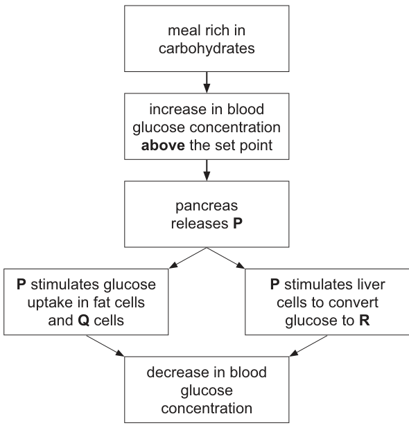 Fig. 6.1