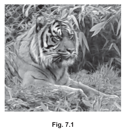 Fig. 7.1