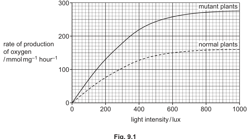 Fig. 9.1