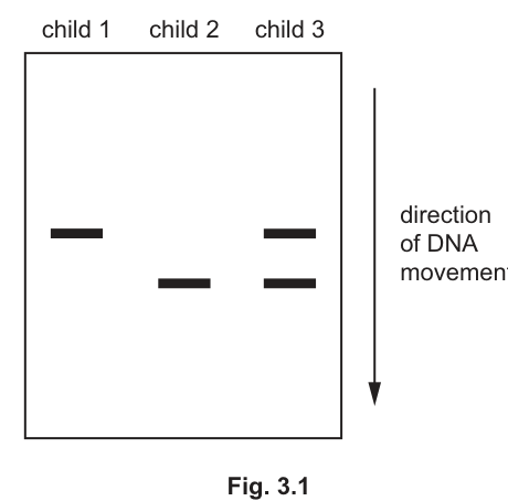 Fig. 3.1