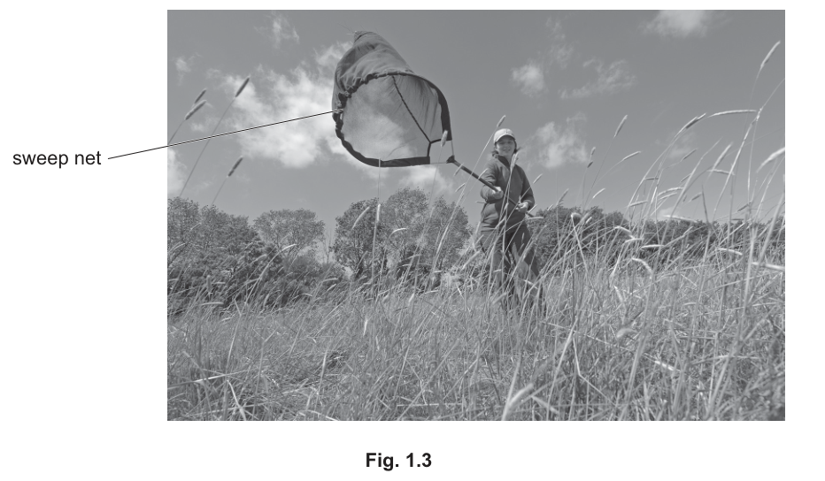Fig. 1.3