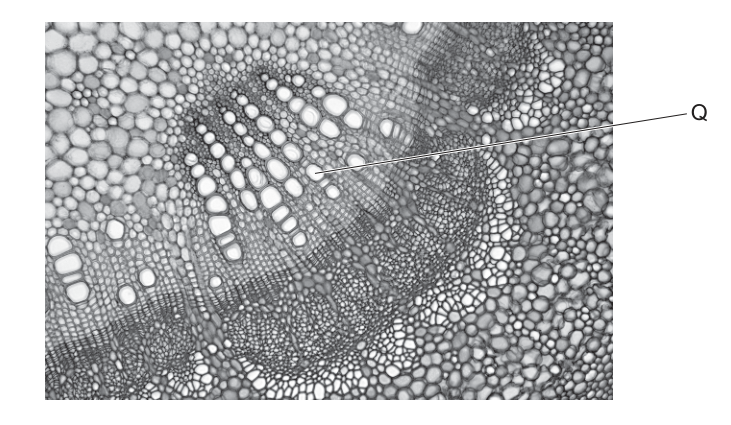 Fig. 3.1