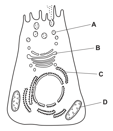 Fig. 4.1