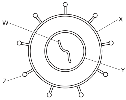 Fig. 6.1