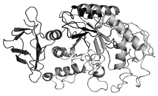 Fig. 13.1