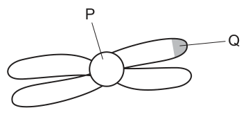 Fig. 20.1