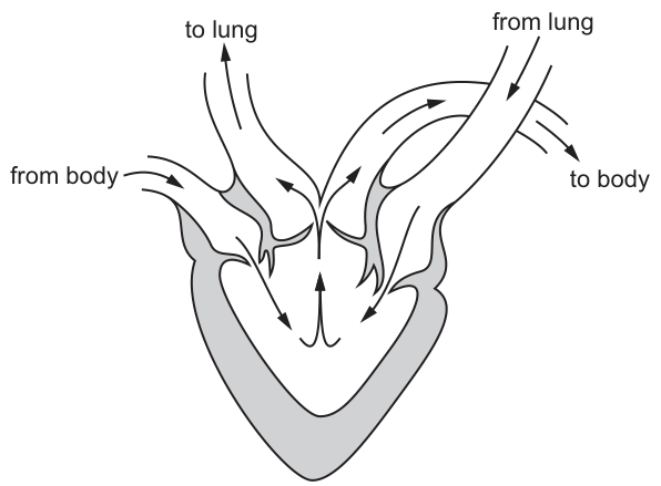 Fig. 29.1
