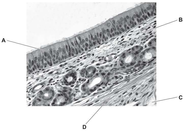 Fig. 35.1