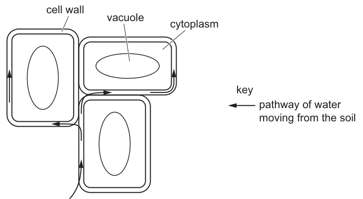 Fig. 28.1