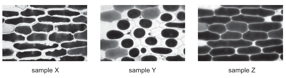 Fig. 18.2